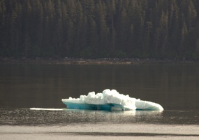 315-9028 Iceberg